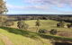 Down To Earth Farm Retreat - thumb 8