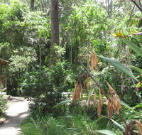 Dunns Creek Downs Nature Stay - Accommodation Port Macquarie