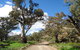 Flinders Bush Retreats - thumb 7
