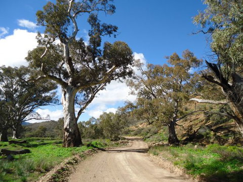 Flinders Bush Retreats - Accommodation Port Macquarie 7