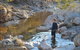 Flinders Bush Retreats - thumb 8