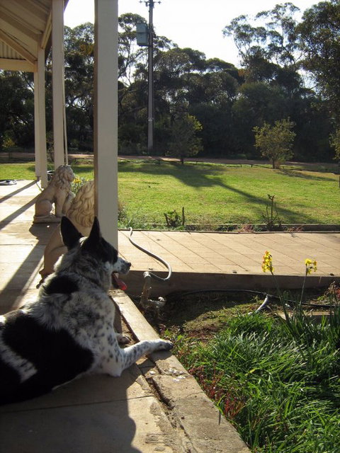 Great Grandpa Henry Retreat - Accommodation Port Macquarie 4