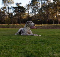 Hunter Valley Retreat - Accommodation Port Macquarie