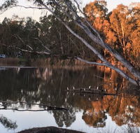 Jaycee Island - Accommodation Port Macquarie