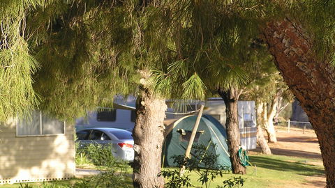 Barmera North Lake Caravan Park - Accommodation Port Macquarie 4