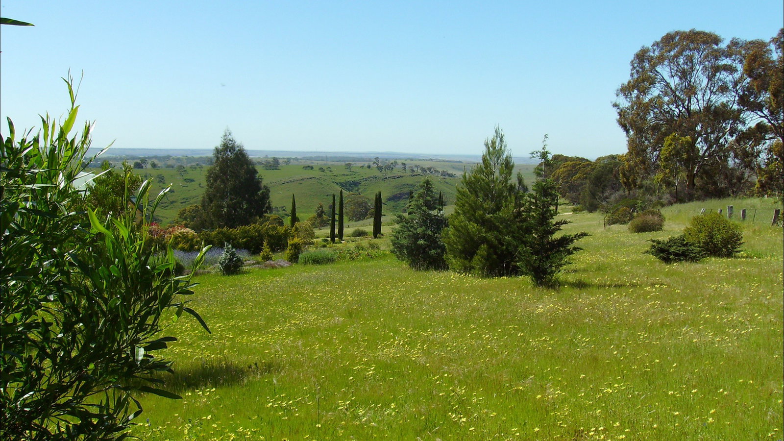 Dawesley SA Accommodation Port Macquarie
