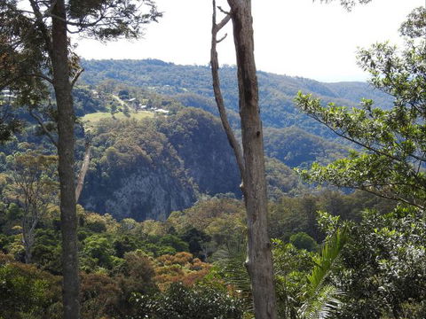Mt Tamborine Motel - Accommodation Port Macquarie 0