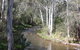 Stockyard Creek - thumb 2