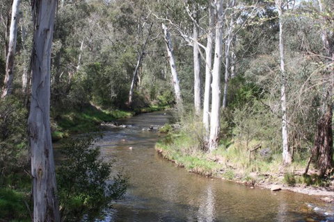 Stockyard Creek - Accommodation Port Macquarie 2