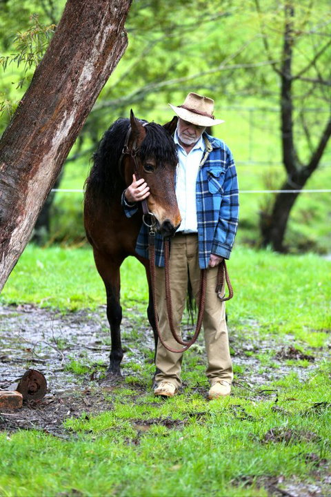 Stockyard Creek - Accommodation Port Macquarie 4