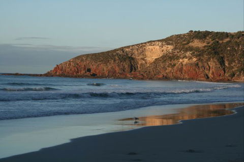 Tammar Ridge - Accommodation Port Macquarie 8