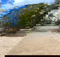 Acraman Creek Conservation Park Campgrounds - Accommodation Port Macquarie