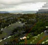 Bellthorpe Stays - Nature's Retreat - Accommodation Port Macquarie