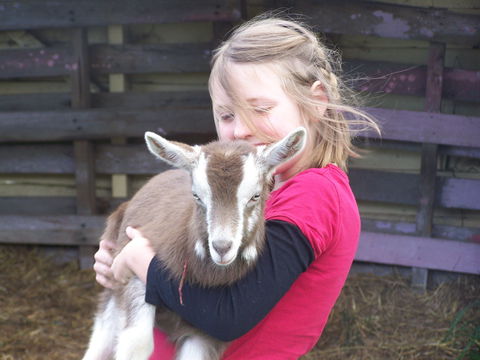 Eden Orchard And Farmstay - Accommodation Port Macquarie 3