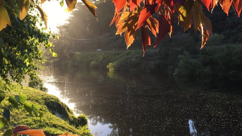 Forth River Cottage - Accommodation Port Macquarie 4