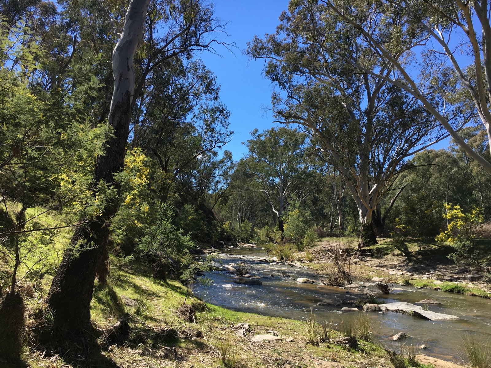 Mount Adrah NSW Accommodation Port Macquarie
