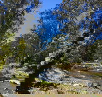 Highfield Farm and Woodland Bush Campsites - Accommodation Port Macquarie
