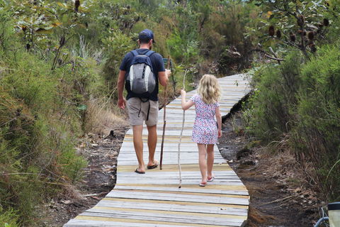 Kingfisher Bay Resort - Accommodation Port Macquarie 7