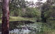 Maleny Country Cottages - thumb 3