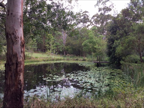 Maleny Country Cottages - Accommodation Port Macquarie 3