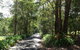 Maleny Country Cottages - thumb 8