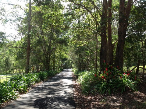 Maleny Country Cottages - Accommodation Port Macquarie 8