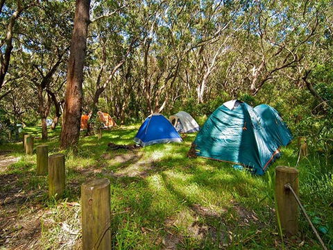 Yagon Campground - Accommodation Port Macquarie 3