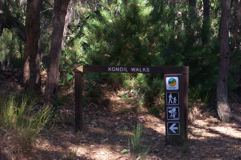 Blue House Bed And Breakfast - Accommodation Port Macquarie 8
