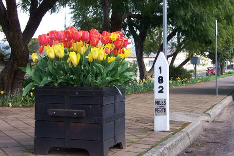 Blue House Bed And Breakfast - Accommodation Port Macquarie 9