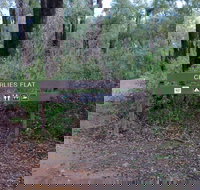 Charlies Flat Campground at Lane Poole Reserve