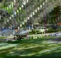 Chaelundi campground - Accommodation Port Macquarie