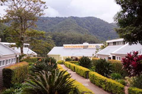 Eden Health Retreat - Accommodation Port Macquarie 0