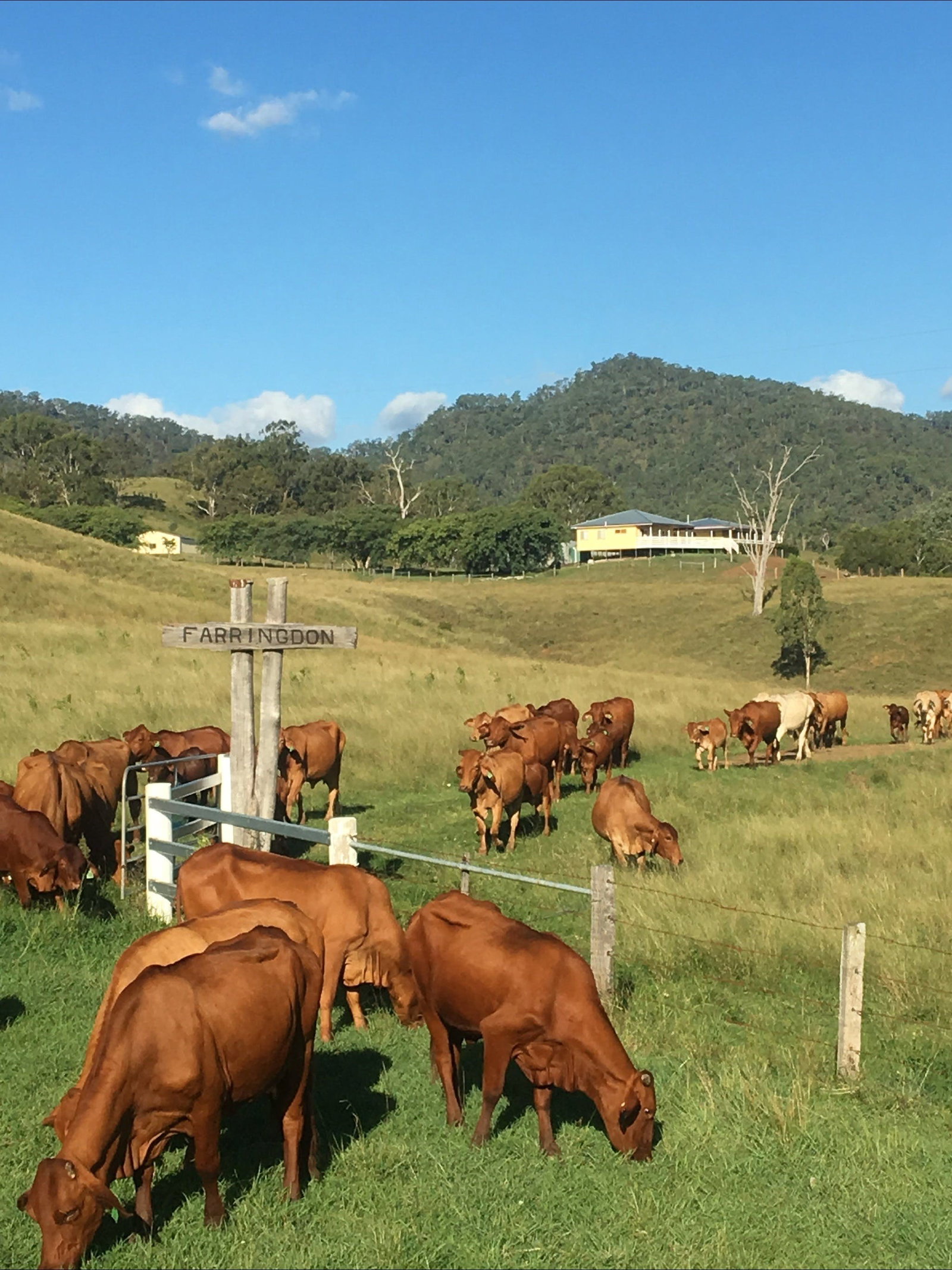 Tabooba QLD Accommodation Port Macquarie