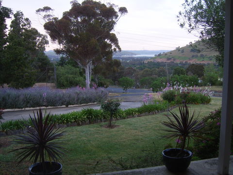 Garden Motor Inn (Golden Chain) - Accommodation Port Macquarie 3
