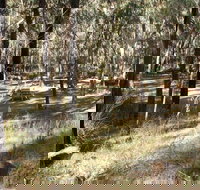 Greenbah campground - Accommodation Port Macquarie