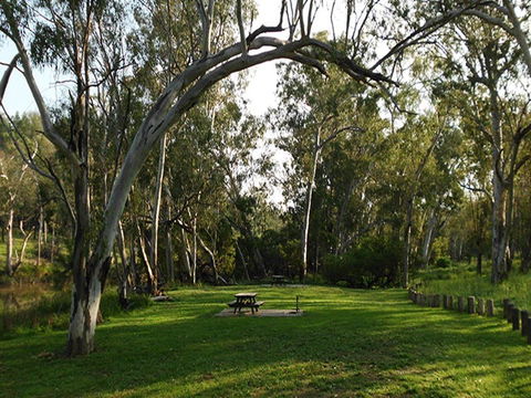 Kookibitta Campground - Accommodation Port Macquarie 0