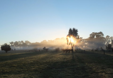 Mackereth's Hedon Farm - Accommodation Port Macquarie 1