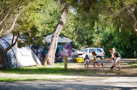 Rosebud Foreshore Camping - Accommodation Port Macquarie 2