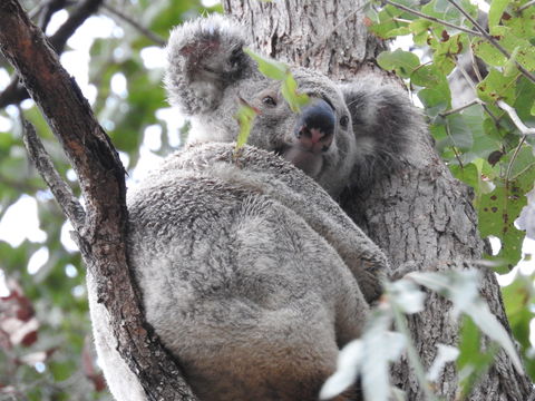 Twilight Grove Farm Bed And Breakfast - Accommodation Port Macquarie 1