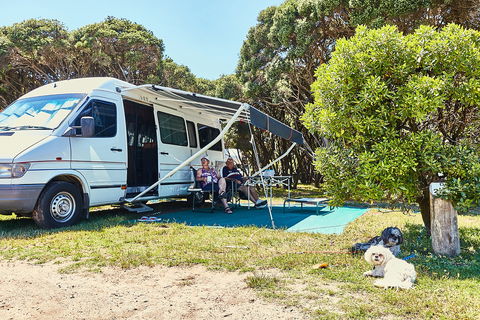 Anglesea Family Caravan Park - Accommodation Port Macquarie 2