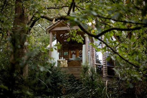 Arcadia Cottages - Accommodation Port Macquarie 1