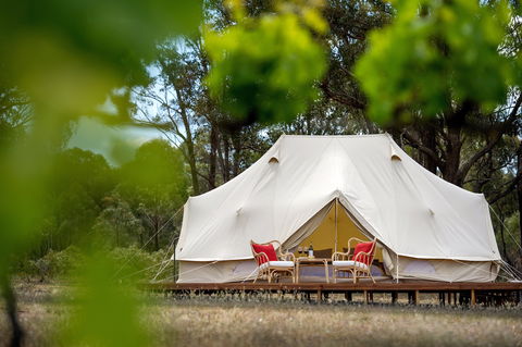 Balgownie Estate Winery Glamping & Accommodation - Accommodation Port Macquarie 0
