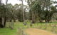 Ben Halls Campground - thumb 0