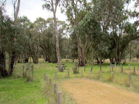 Ben Halls Campground - Accommodation Port Macquarie 0