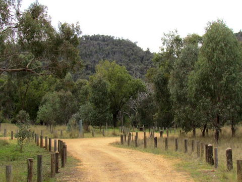Ben Halls Campground - Accommodation Port Macquarie 2