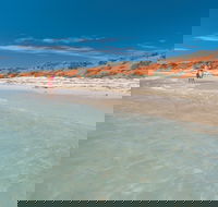 Bottle Bay Camp at Francois Peron National Park - Accommodation Port Macquarie
