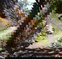 Centre Road Crossing Camp at Mount Frankland South National Park - Accommodation Port Macquarie