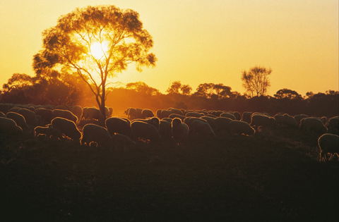 Clandulla Cottages & Farmstay - Accommodation Port Macquarie 0