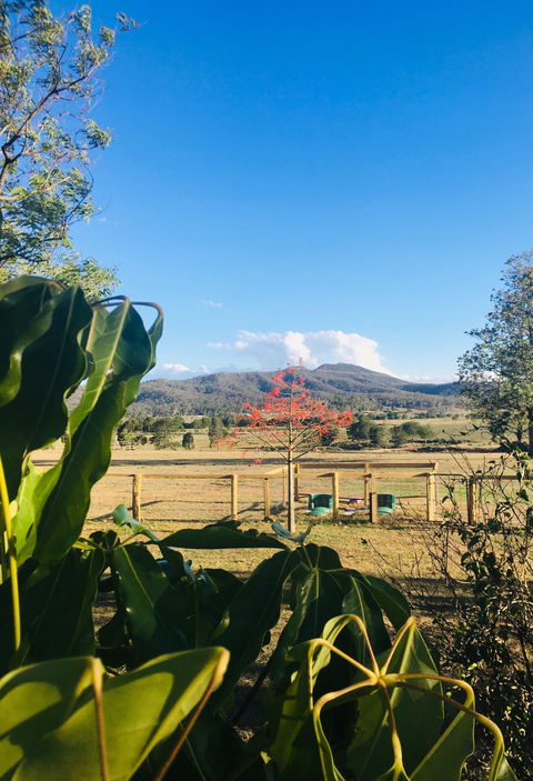 Clandulla Cottages & Farmstay - Accommodation Port Macquarie 2