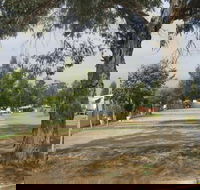 Country Acres Caravan Park - Accommodation Port Macquarie